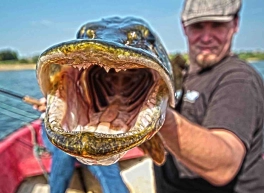 Pikes have lots of teeth! Pikes have lots of teeth!