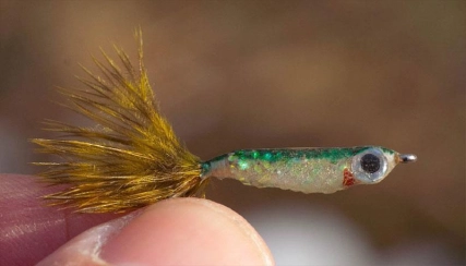 Medium backgroind Medium backgroind