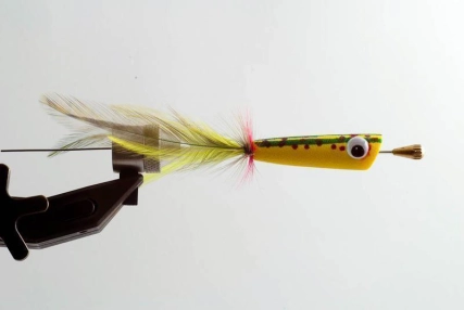 A popper - front lit A popper - front lit