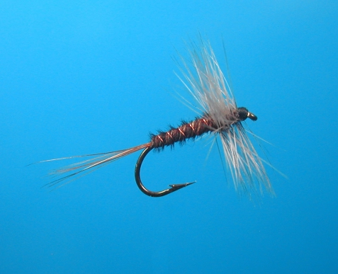 Pheasant Tail Hackle Spinner size 16 Pheasant Tail Hackle Spinner size 16