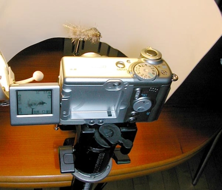 Flipping out Flipping out