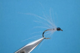 CDC No Elk CDC No Elk