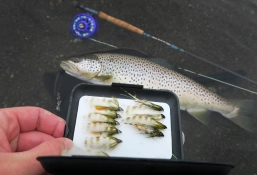 Windy days call for Olive Ghosts Windy days call for Olive Ghosts