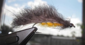 Fair Fly variant