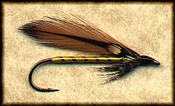 GOLDEN DARTER (LEW OATMAN) Image