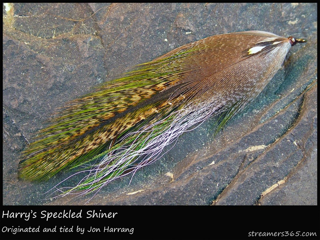 #300 Harry's Speckled Shiner - Jon Harrang