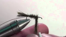 Video thumb for Damsel Nymph