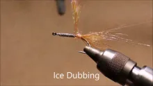 Video thumb for Seatrout Fly Food