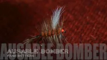 Video thumb for Ausable Bomber