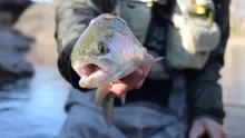 Video thumb for Spring fly fishing