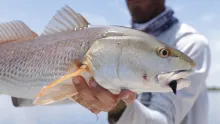 Video thumb for Hunting With Feathers