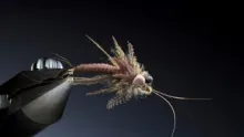 Video thumb for Stonefly nymph