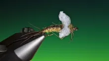 Video thumb for Duty Free Cripple Mayfly