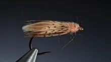 Video thumb for Diving Caddis