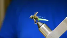 Video thumb for Gill Tickler