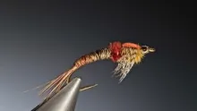 Video thumb for Hatching Mayfly Nymph