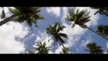 Video thumb for Casting At Shadows - Extended Trailer