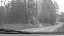 Video thumb for Fly Fishing North Carolina Wild Rainbows