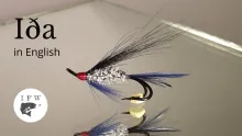 Video thumb for IÐA