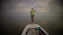 Video thumb for Reflections