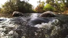 Video thumb for Hard Core Fly fishing