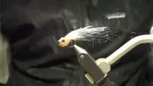 Video thumb for BBC Salmon Parr