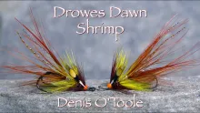 Video thumb for Drowes Dawn Irish Shrimp Fly