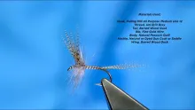 Video thumb for Tying the Quill Gordon with Davie McPhail