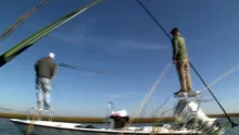 Video thumb for Redfish fly fishing