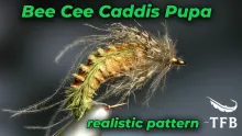 Video thumb for Bee Cee Caddis Pupa