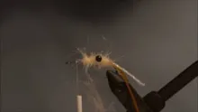Video thumb for The Koga Shrimp