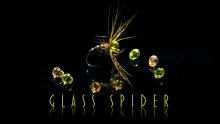 Video thumb for Glass Spider