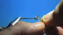 Video thumb for Tying knots in Daddy legs