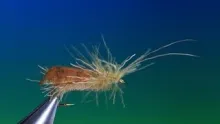 Video thumb for Shoe Shine Caddis