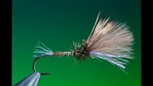 Video thumb for Mixed Wing Shuttlecock