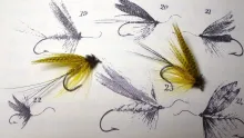 Video thumb for Blacker's Green Drake