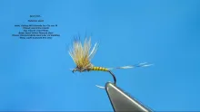 Video thumb for Spun Dun (Variant)