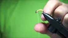 Video thumb for Pupae with catgut biothread