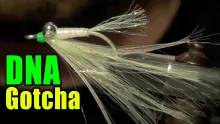Video thumb for DNA Gotcha