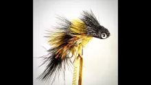 Video thumb for Articulating Flies Part 2