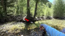 Video thumb for Brookies on Dries! 