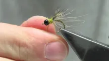 Video thumb for Diving CDC&Elk