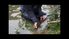 Video thumb for Toc Toc