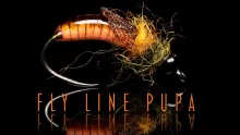 Video thumb for Fly Line Pupa