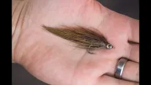 Video thumb for Pheasant Rump Baitfish