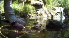 Video thumb for Rivers & Waterfalls of the Otways