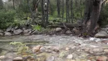 Video thumb for Rocky Mountain River