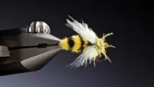 Video thumb for CdC Wasp