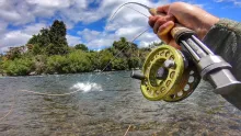 Video thumb for Fly fishing world famous river for large brown trout