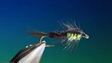 Video thumb for Montana Nymph